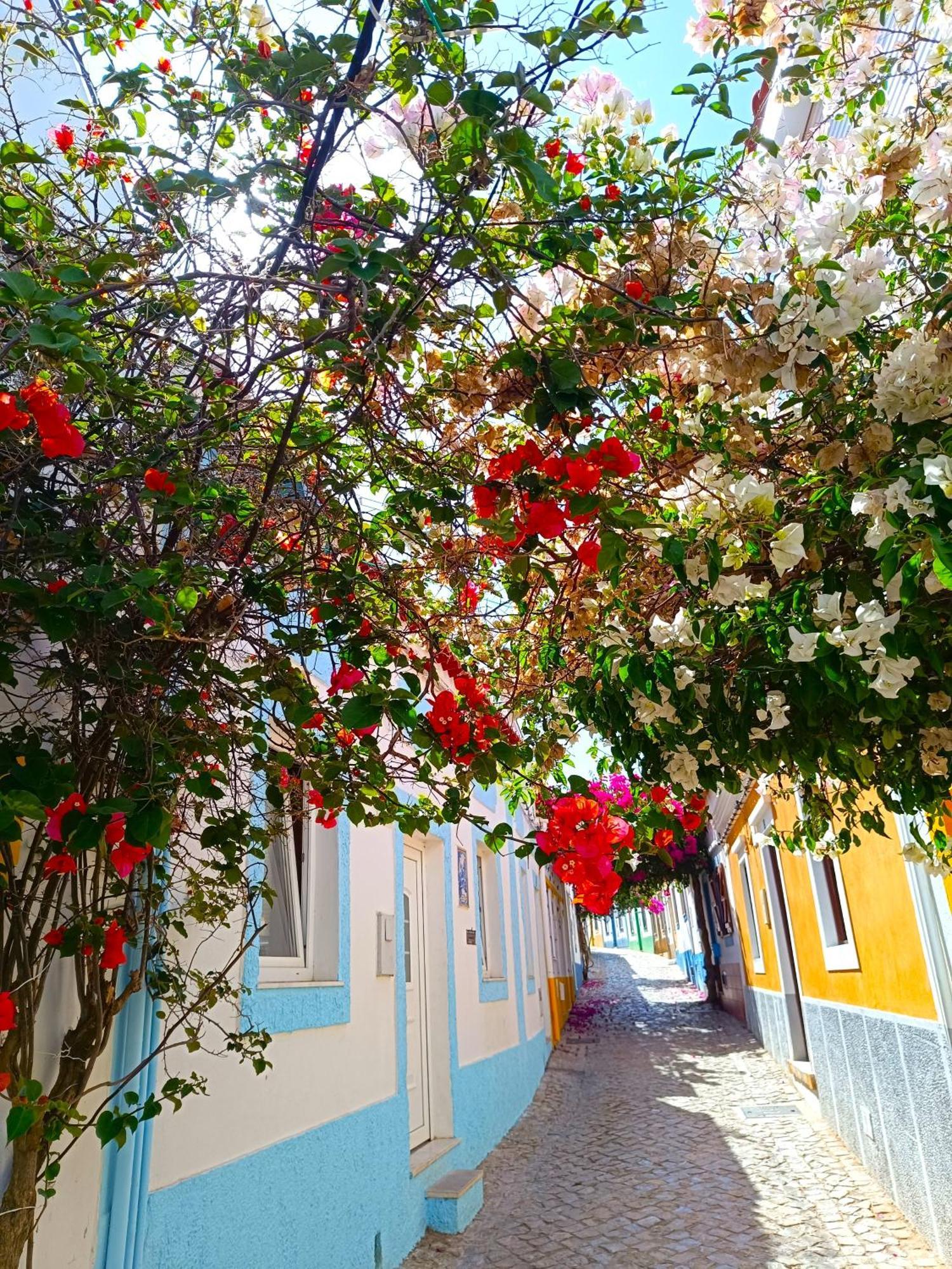 Wonderful Apartment In Ferragudo 2Double Beds Near Beaches And Golf Zewnętrze zdjęcie